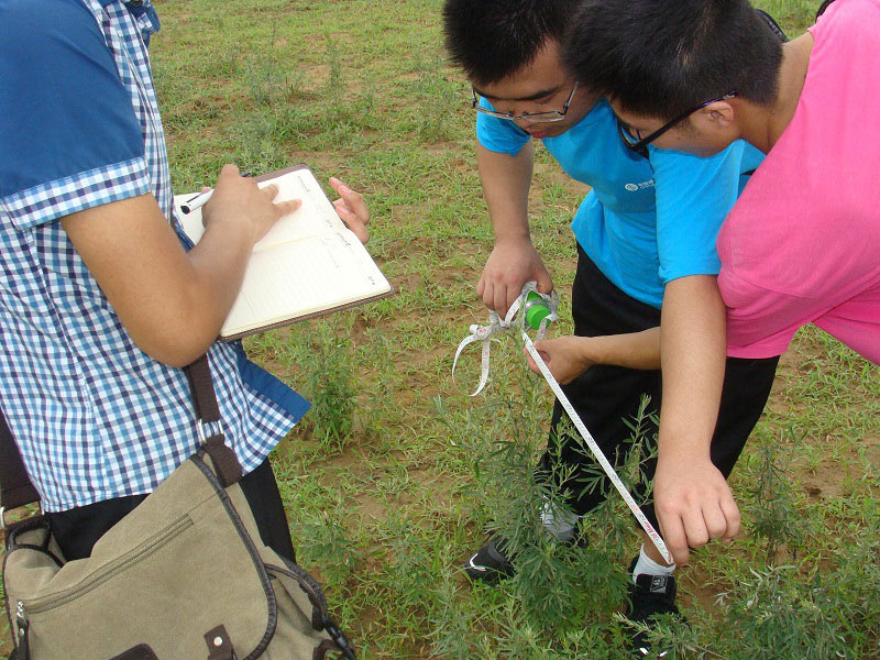 7��19�����m�ݴ�W�Gɫ�I�F�������һ�A�ε��{(di��o)�н�(j��ng)����ٴ�����M�ЬF(xi��n)���о����D��꠆T�����ڜy���_�J�ӷ��ķ�����