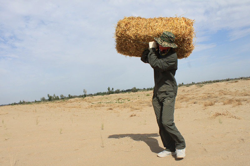 �F(tu��n)�T���i�������ݣ����ϳ����ģ����������؟(z��)����