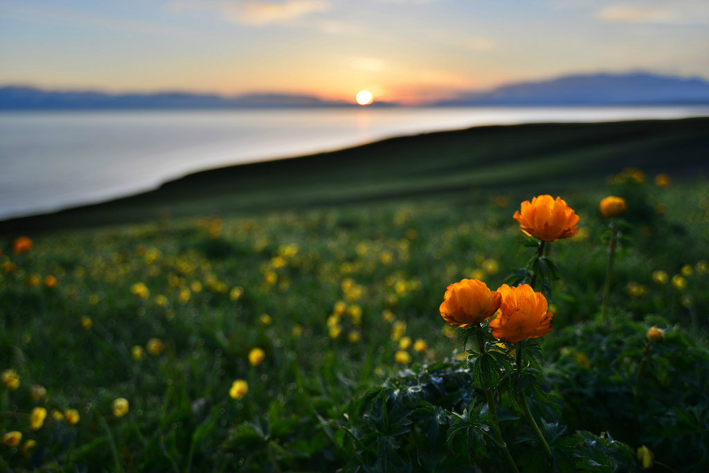 ��������l(xi��ng)�ĸ����