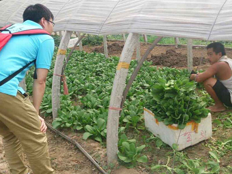 ���`꠆T�c��?sh��)��r��e�O��ͨ������������}���˽��߲˴�������P��r��