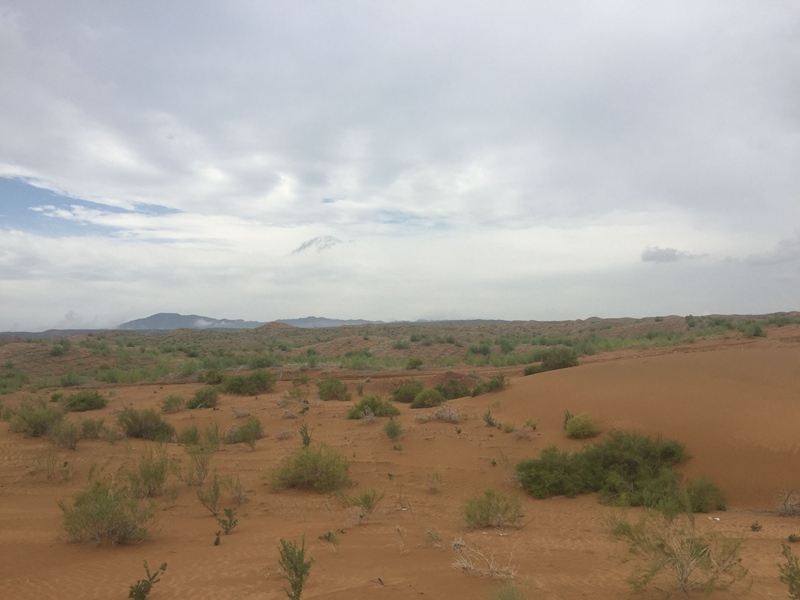 �v����ɳĮ�޾W(w��ng)������ݷ����ﲼ�M�[�d��ɳ��ֲ����