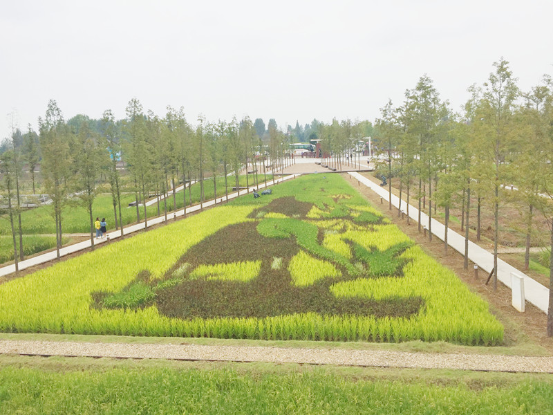 ������L�������������zӰ����־�ۣ�