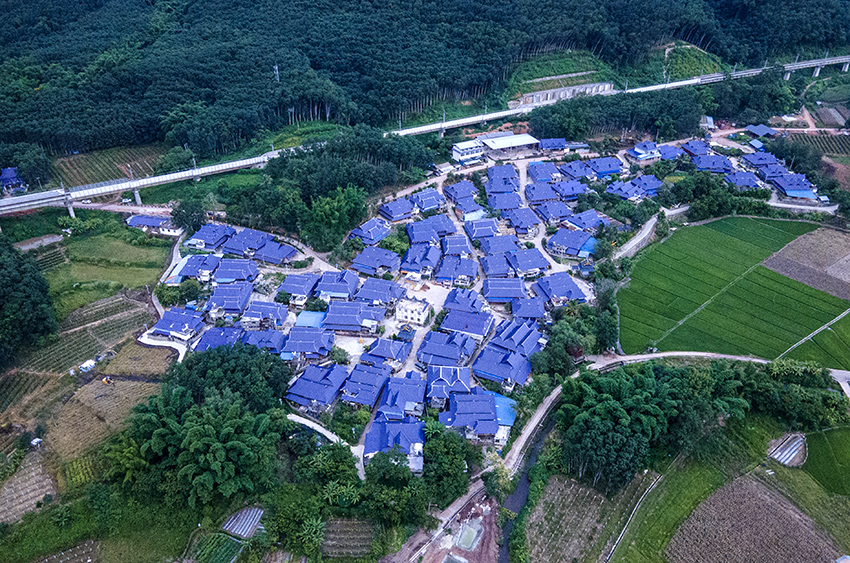 磨憨鎮(zhèn)曼莊村大龍哈小組現(xiàn)代化邊境幸福村新貌。人民網(wǎng)記者 符皓攝