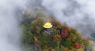航拍深秋天目山 宛如畫(huà)境