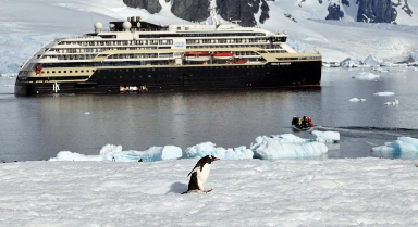 南極旅游，能"帶走"當(dāng)?shù)氐男游飭?