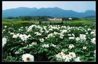 �~���P��