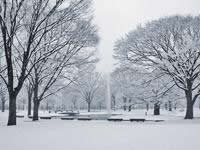 �����Iѩ��