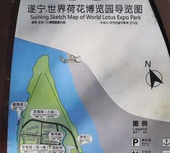 ����ɻ����[�@��(d��o)�[�D