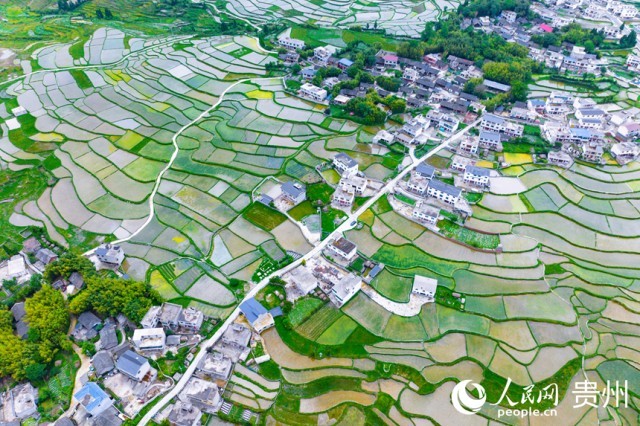 �����F��л�Ϫ�^(q��)��������������W(w��ng)ӛ�� Ϳ���z